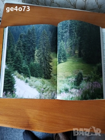 Албум „Ловът в България | Hunting in Bulgaria“, снимка 2 - Оборудване и аксесоари за оръжия - 54049076