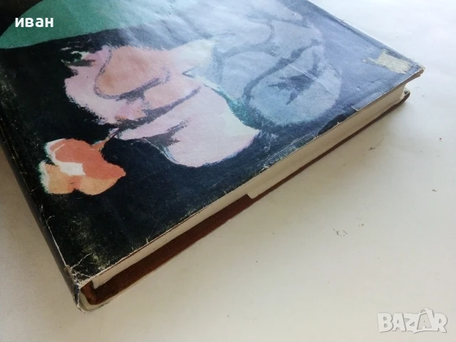 Набор 22 - Аугуст Кюн - 1982г., снимка 5 - Художествена литература - 51206943