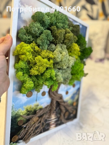 Ръчно изработени картини със скандинавски мъх, снимка 11 - Декорация за дома - 54140265