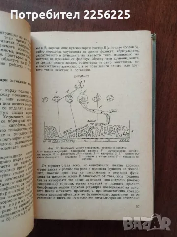 Наръчник по изкуствено осеменяване, снимка 2 - Специализирана литература - 50440149