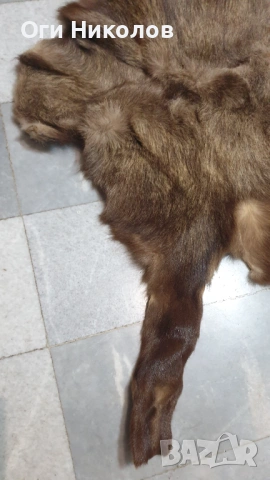 Дивечова кожа, снимка 4 - Антикварни и старинни предмети - 53218482