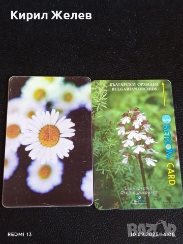 Две фонокарти БЕТКОМ, БУЛ ФОН тема ЦВЕТЯ ОРХИДЕЯ за КОЛЕКЦИЯ ДЕКОРАЦИЯ 42416