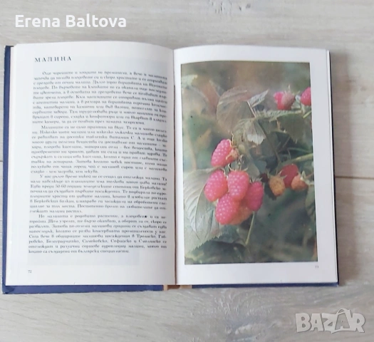 🍃💜   Албум за растения и животни  299стр. 1976г, снимка 6 - Други - 53912262