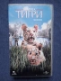 Видеокасета VHS Братята Тигри / 2004 год., снимка 1