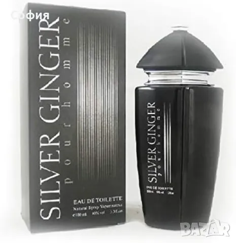 Парфюм Silver Ginger by BN, Unisex, Eau de toilette 100ml, снимка 5 - Унисекс парфюми - 49611832