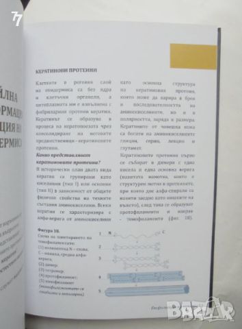 Книга Ексфолиация на кожата - Румяна Лазарова и др. 2023 г., снимка 3 - Специализирана литература - 46616740