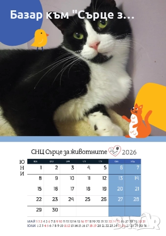 Благотворителен календар с подарък и бродирани пирамидки, снимка 6 - Други стоки за животни - 34917469