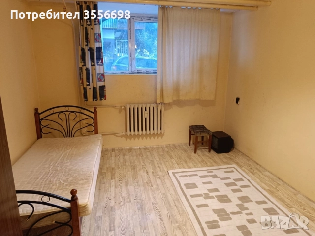 Стая , снимка 2 - Стаи под наем - 52354222