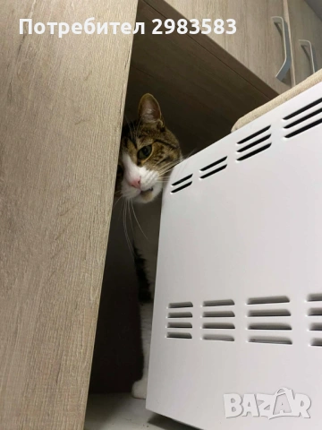 Оригинален плейър/мултимедия за VW – Golf 5 - 105 евро , снимка 3 - Аксесоари и консумативи - 53339102