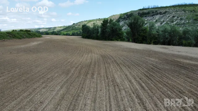 Продава Земеделска земя 242 декара; с. Долна Студена; общ. Ценово, снимка 3 - Земеделска земя - 50271389