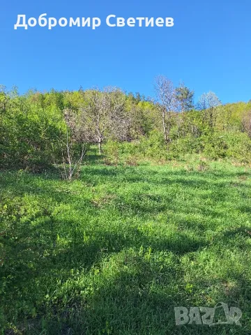 Къща в сърцето на Еленският балкан , снимка 9 - Къщи - 50427402