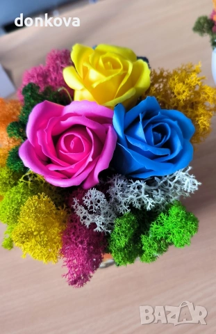 живи картини декорации от скандинавски мъх., снимка 5 - Картини - 53978658