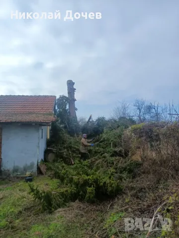 Рязане на опасни дарвета почистване на дворове и големи парцели със профисионална техника, снимка 3 - Други услуги - 48378820