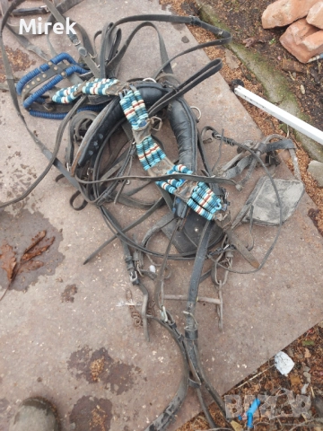 Sprzedam , снимка 2 - Коне - 52576617