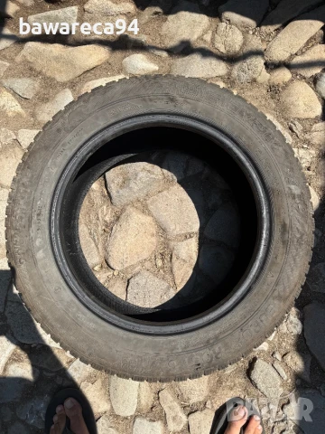 1бр. гума Gislaved Euro Frost 6 205/55R16 91H, снимка 3 - Гуми и джанти - 51127993