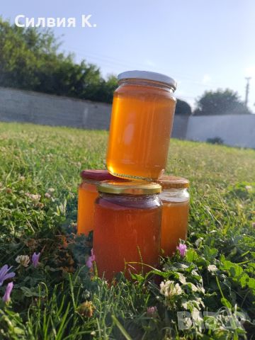 Мед, снимка 1 - Пчелни продукти - 46389554