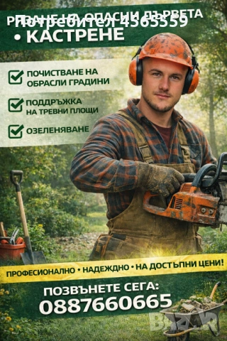 🌳 Премахвам опасни дървета, кастря клони, режа и цепя дърва за огрев. Бързо, безопасно и на разумно