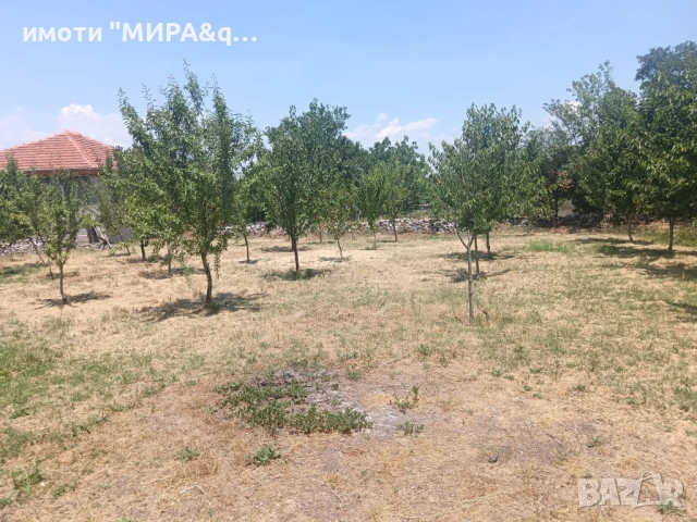 Къща в с. Сталево обл. Хасково, снимка 6 - Къщи - 52926779