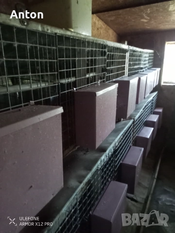 Клетки за зайци