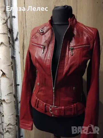 Molltan дамско яке от естествена кожа размер 34, снимка 3 - Якета - 49702631