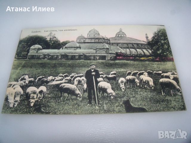 Стара пощенска картичка от Белгия -Laeken, les serres, vue exterieure, снимка 2 - Филателия - 46401531