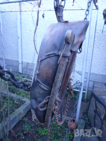 ХАМУТ ЗА КОН ОТ ПЕТДЕСТТЕ ГОДИНИ, снимка 13 - Други животни - 53256404