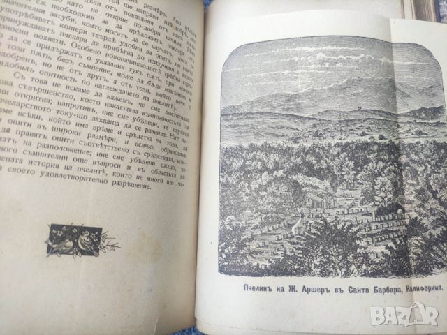 Продавам книга "Пчела и кошер" Л. Л. Лангстрот. От 1904, снимка 11 - Специализирана литература - 45607243