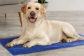 Охлаждаща подложка за домашни любимци, снимка 2