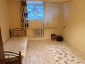 Стая , снимка 2