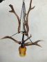 Красив полилей с еленови рога, стъкленица и синджири, снимка 1 - Лампи за таван - 45021758