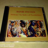 СД - David Sylvian, руски, в перфектно състояние. Двойните по 12лв, единичните по 8лв, снимка 17 - CD дискове - 45372987