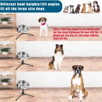 Vexong Повдигната купа за кучета със стойка, регулируема височина, неръждаема стомана, 25 х 8 см, снимка 3 - За кучета - 45616729