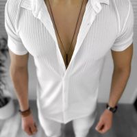 Мъжка риза с къс ръкав Лаурен модел 2024, снимка 1 - Ризи - 45266176