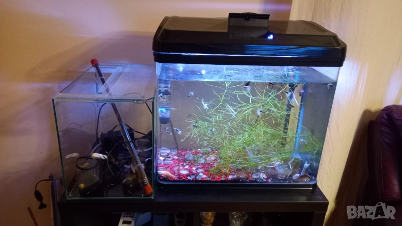Продавам 2бр.аквариуми, снимка 1