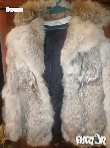 Естествен Косъм Прекрасно Ново Дамско Палто XL , снимка 1