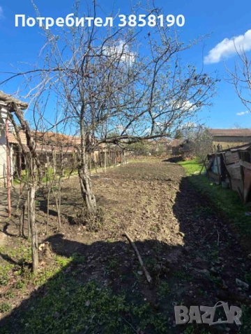 Продава се имот в с. Староселци, обл. Плевен – 1 декар двор, две къщи, лятна кухня, снимка 14 - Къщи - 54123160
