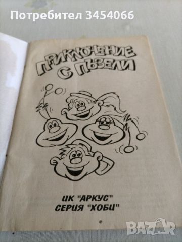 Приключение с пъзели-Ан Шулман (книга - игра) , снимка 2 - Детски книжки - 46629891