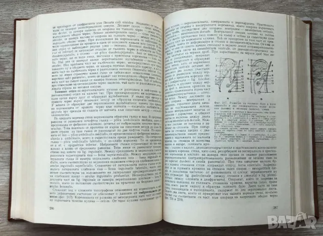 Ж.Верн, Юнг, Ницше, Дж.Клавел, А.Хейли, Фантастика,Г.Грийн, Дж.Оруел,С.Радев,Криминални, Война и Мир, снимка 7 - Художествена литература - 48454818