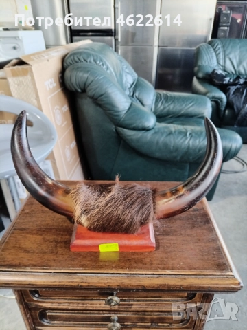 ТРОФЕЙ , снимка 5 - Антикварни и старинни предмети - 52476986