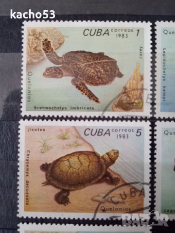 1983 г. Костенурки. Куба, снимка 2 - Филателия - 45430999