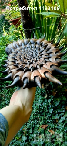 Голямо пано ръчна дърворезба Ноутилус - орех, снимка 5 - Пана - 52910588