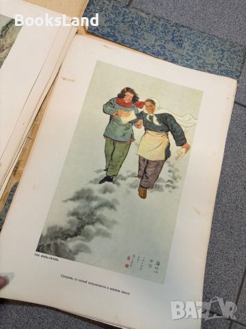 Китайская современная живопись. Рядко издание., снимка 12 - Други - 45283611