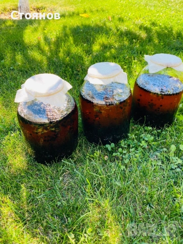 Сироп черен бъз с мед, бъзак с мед, снимка 6 - Други - 51738820