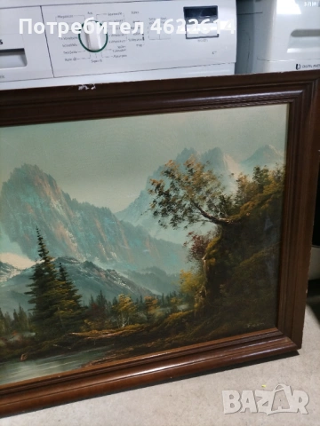 АВТОРСКА КАРТИНА МАСЛЕНИ БОИ ВЪРХУ ПЛАТНО , снимка 3 - Картини - 53117917