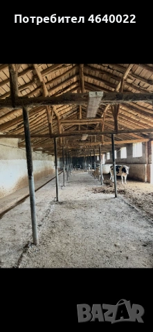 Продава се действаща кравеферма – напълно оборудван и разработен бизнес, снимка 6 - Производствени сгради - 53513854