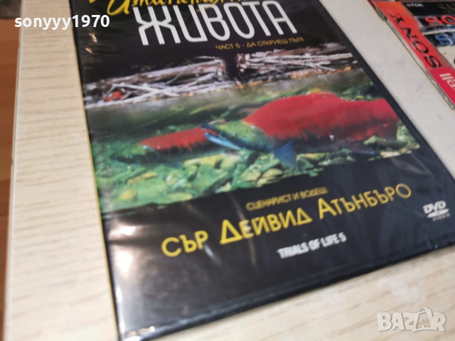 ИЗПИТАНИЯТА НА ЖИВОТА 5 ДВД 2204261911L1, снимка 7 - DVD филми - 54282033
