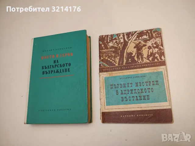 Братя Миладинови - Георги Константинов, снимка 2 - Българска литература - 50079848