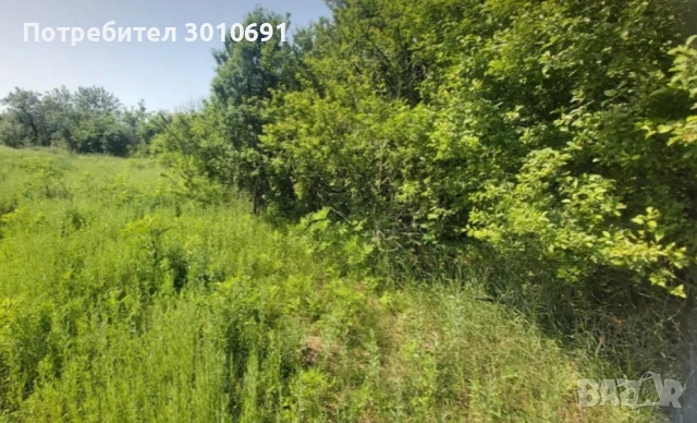 Парцел , снимка 3 - Парцели - 54208573