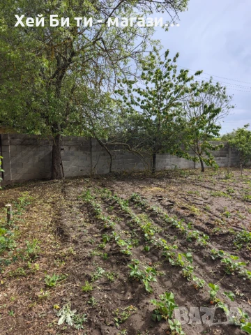 Къща и вила , снимка 5 - Къщи - 50507251