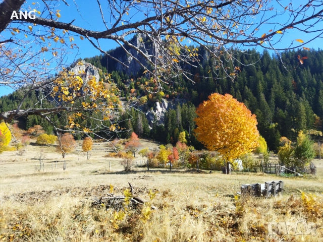 Продава парцел в Смолянски езера , снимка 15 - Парцели - 52178672